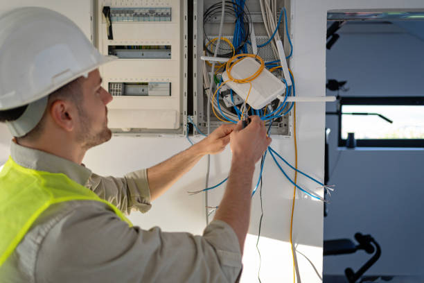 Best Electric Panel Repair  in Arden Hills, MN